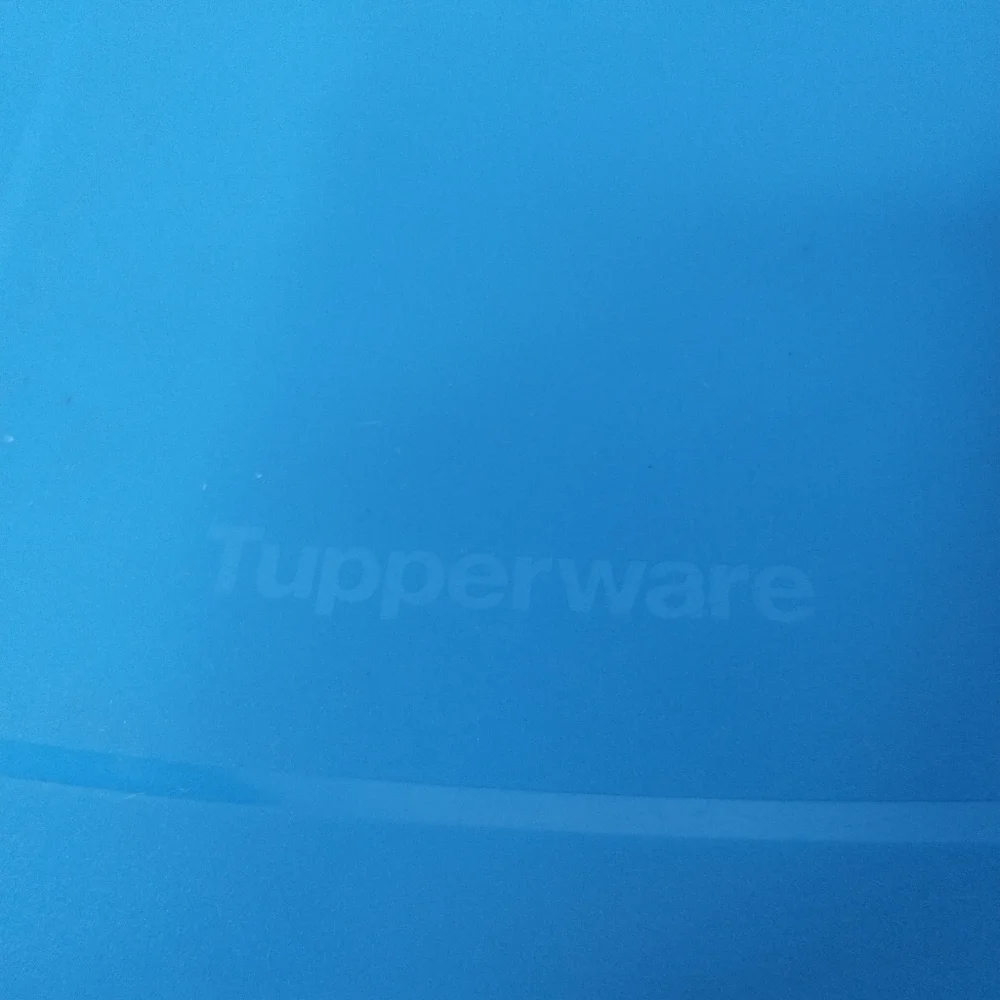 New Blue Tupperware Surf N Turf Meat keeper